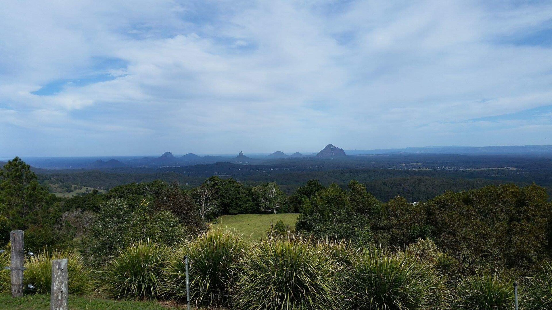 The Glass House Mountains rising beyond green Maleny farmland