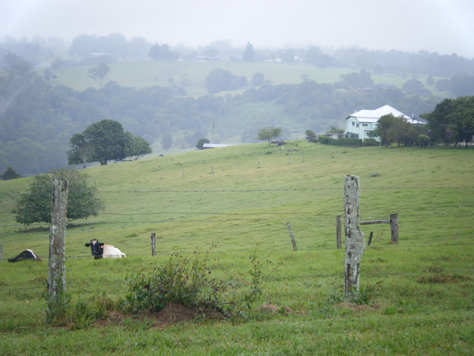 Morning mist lying over farmland near Maleny